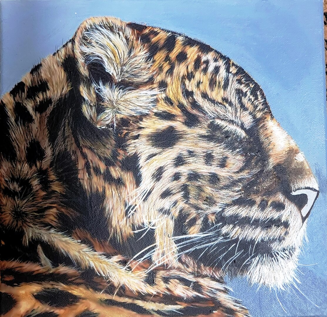 Realistic oil painting of a leopard by Heidi Adendorff.
						
