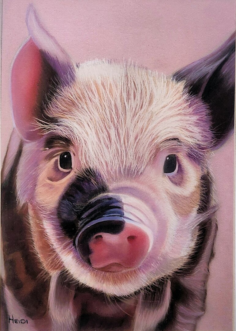 Realistic pastel drawing of a piggy by Heidi Adendorff.
						