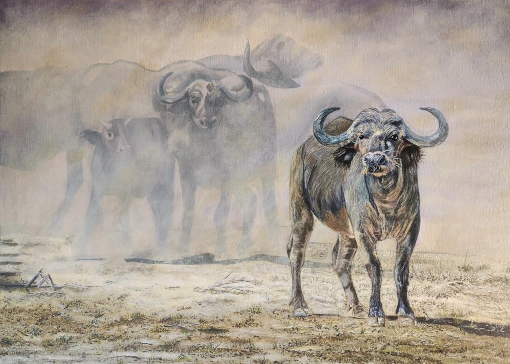 Realistic oil painting of a buffaloe herd by Heidi Adendorff.
						