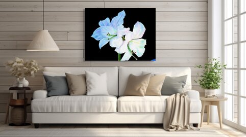 Heidi Adendorff Art